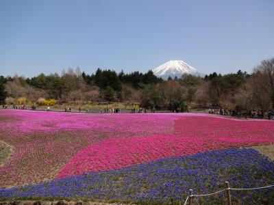 山梨ツーリング