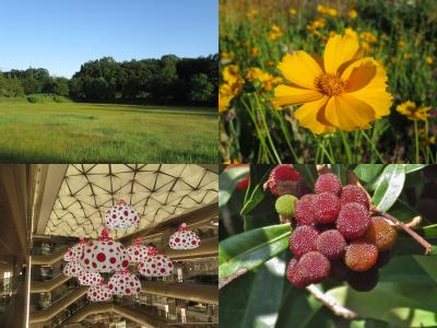 季節の街歩き　平成29年6月　　Town walk of the season