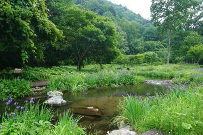 檜枝岐村ぶらぶら