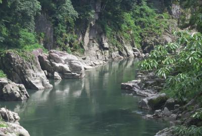 2017梅雨、長野の渓流(5/5)：天竜峡(3)：天竜峡沿いの散策、紫陽花、枝垂れ桜、歌碑