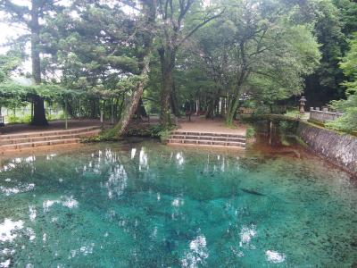 ２泊３日　お天気を気にしながらの山口・福岡旅行　［１］　秋芳洞、秋吉台