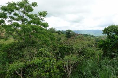 セブ島・マクタン島　GW３人旅　②セブ編