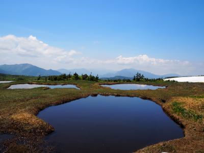 夏の苗場山　たくさんのお花畑と絶景の山頂湿原♪