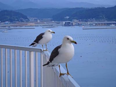 東北被災地復興定点観測の旅２０１７【プラス－平泉、南三陸、楽天イーグルス観戦】