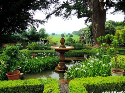 花と食べ物しかないイギリス旅行記（3）ダルメインの庭とホールハード・ガーデンズ