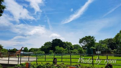 浜松市動物園へ