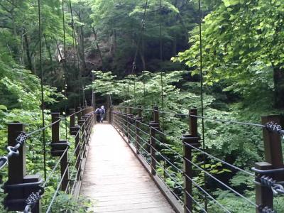 高尾山