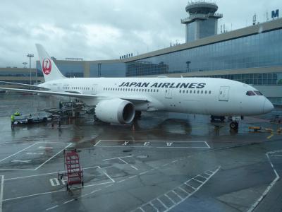 日本航空のPエコノミーで東京～モスクワ往復