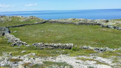 仕事人への瞬間観光案内、、、カナダニューファンドランド、、２時間あったらグレーツコーブ石壁遺跡見れるかな？