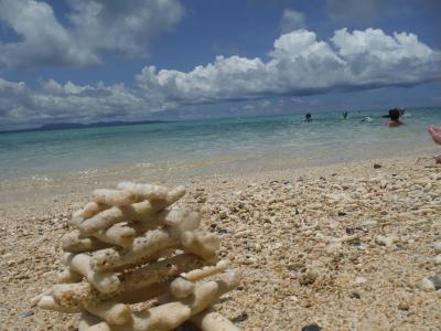 40代夫婦の旅。オクマビーチと古宇利島