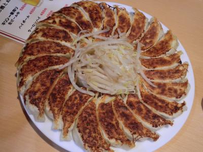 静岡グルメ旅　～肉（ハンバーグ）と魚と餃子の食い倒れ～