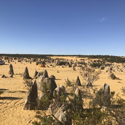 Australia Perth ピナクルズ ツアーに参加