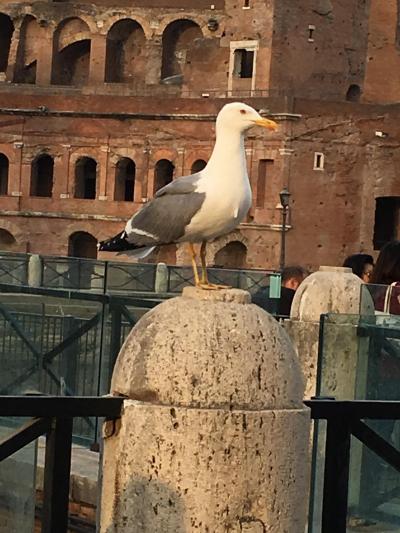 ローマに到着です、7年ぶりの宿のこと。～三年に一度、５０代の三人旅