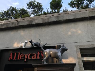 真夏の台湾2017 初めてのオフ会に参加してきました1