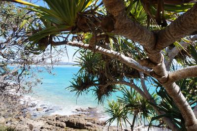 家族旅行@ヌーサ~クーランガッタ 2016夏休み④