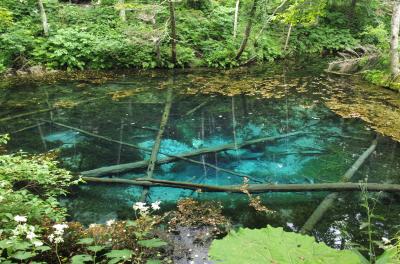 駆け巡る北の大地～神の子池、知床半島～