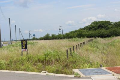 出雲大社～足立美術館～松江城2泊3日　その④　松江のウナギ