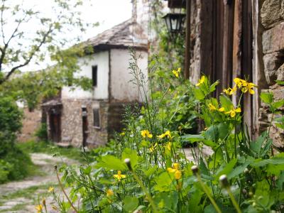 素朴でソフトで・・・食べ物もおいしく・・・物価も安く・・・トルコチックな家並みも可愛かったよ！緑多きブルガリア　１０ ★石造りの小さな村は、夏の別荘地★レシテン★