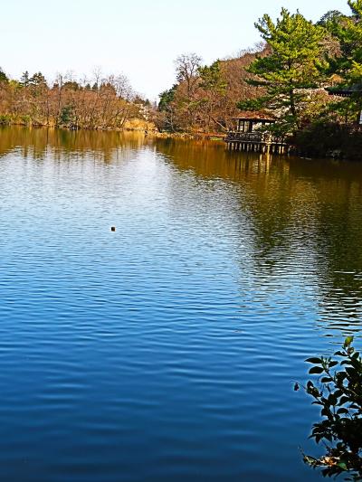 練馬-2　都立石神井公園　ひとめぐり　桜咲き初め時　☆武蔵野の城址・湧水池も