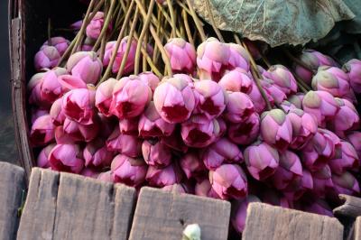 弾丸ベトナム旅行３日目①～蓮の花ツアーへ！