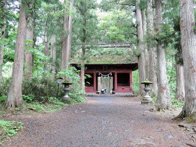 baba友信州女子旅４（2日目後編：：雨の戸隠神社奥社）