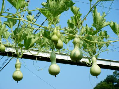 裏高尾 スケッチ&ハイキング