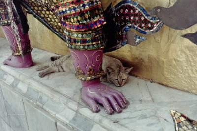 タイ研修旅行 1992年5月