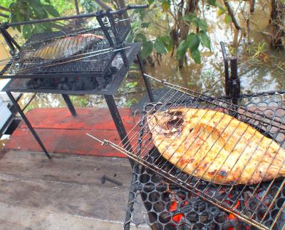とうとう来ちまった「地球の秘境：アマゾン（二河川合流点