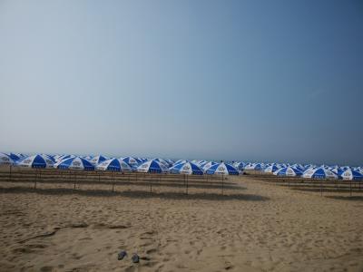 てくてく大邱＆釜山♡ひとり旅④