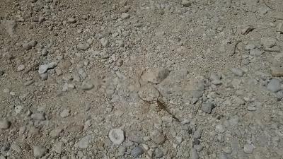 2017年　あ～　もうすぐ５０歳　優雅で贅沢な旅　　（三日目）