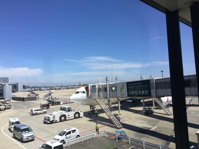 2017.7 スリランカ旅行記①空港～ジェットウィングラグーン泊