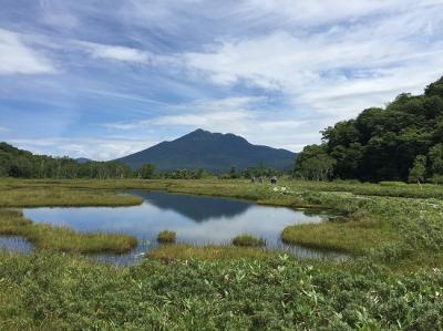 山の日は尾瀬に行こう。