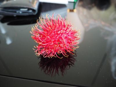 子連れパークハイアットバンコク滞在8