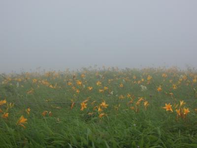 2017.7 長野　－２日目／諏訪大社下社春宮・霧ケ峰高原・車山高原・フジモリ建築・諏訪大社上社本宮－