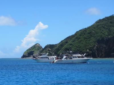 初めての沖縄でダイビング！慶良間諸島の透明度は最高です＾＾