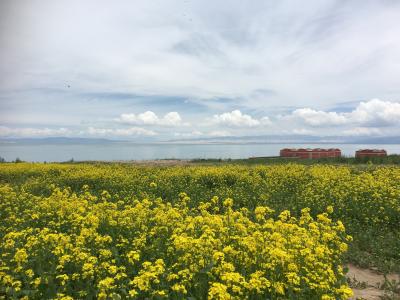 蘭州・西寧標高3,000Mオーバーの旅 (7月に菜の花が咲いている) その1 Day1蘭州