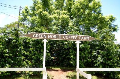 グリーンワールドコーヒーファームへ　ＮＯ１３