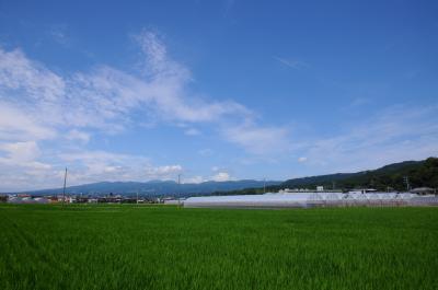 夏は温湯の里で～北条氏ゆかりの地と畑毛温泉～