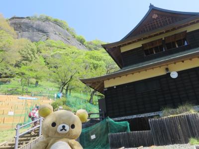 岩殿山に登ってくるクマ～