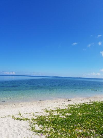 2017夏石垣島・女二人旅♪米原と白保の海・泡盛に酔いしれる旅