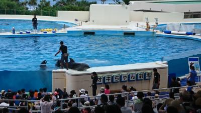 沖縄美ら海水族館に行きました