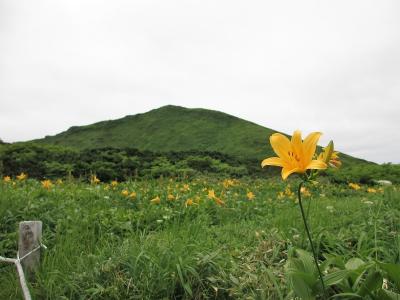 秋田駒ケ岳・八合目からラックラク～