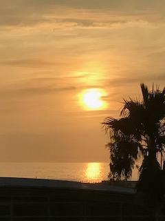 恒例の熱海花火大会