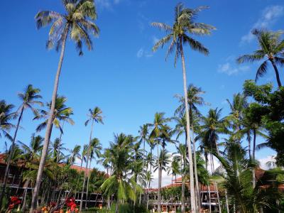 4度目のバリ島vol.2