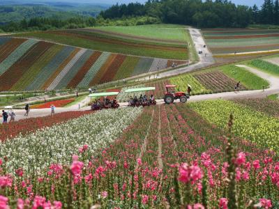 北海道はでっかいどう!【子連れ旅:美瑛】