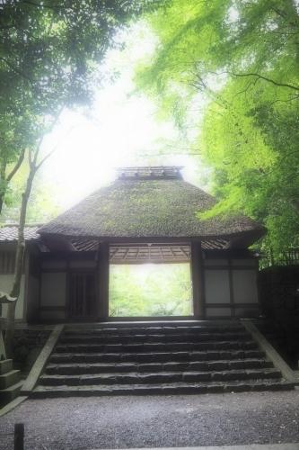京都＊銀閣寺～法然院