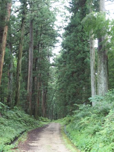 二街道目制覇！　遂に待望のゴール　日光神橋へ到達　　日光街道ウォーク完結編（６回目）　大沢宿～今市宿～鉢石宿　15.8ｋｍ