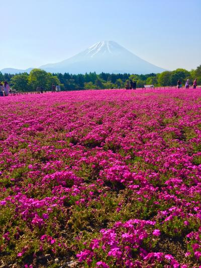 富士山周辺へ１泊２日でソロツーリング♪