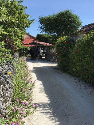 夏だ！今年も八重山に行くぞ（５日目）石垣編