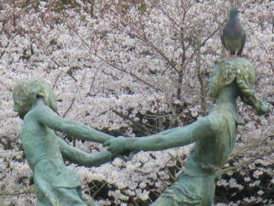 今年も長居公園の桜を楽しめました＾－＾）
